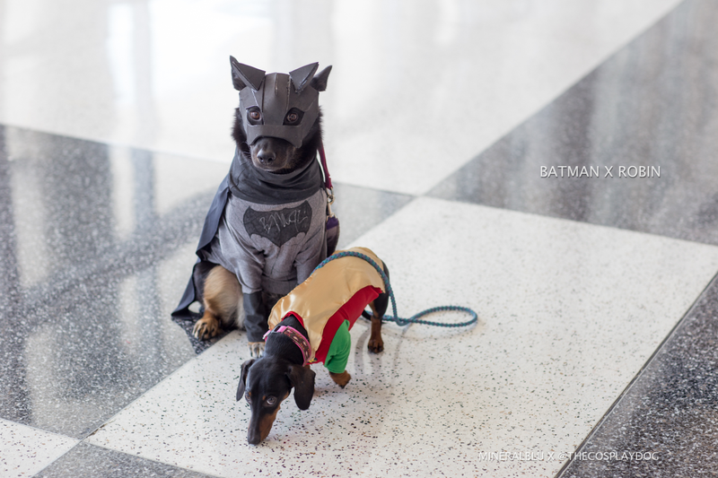 Cosplay by thecosplaydog